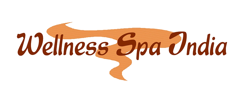 vbf studios partner wellness spa india